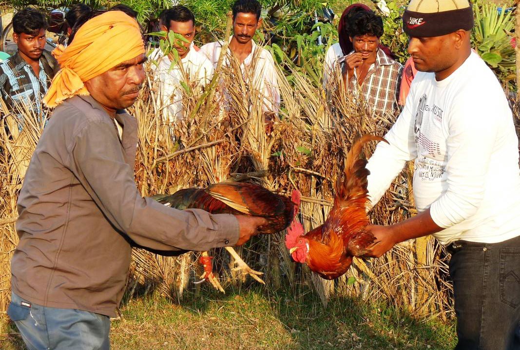 Photo of Others in Cuttack