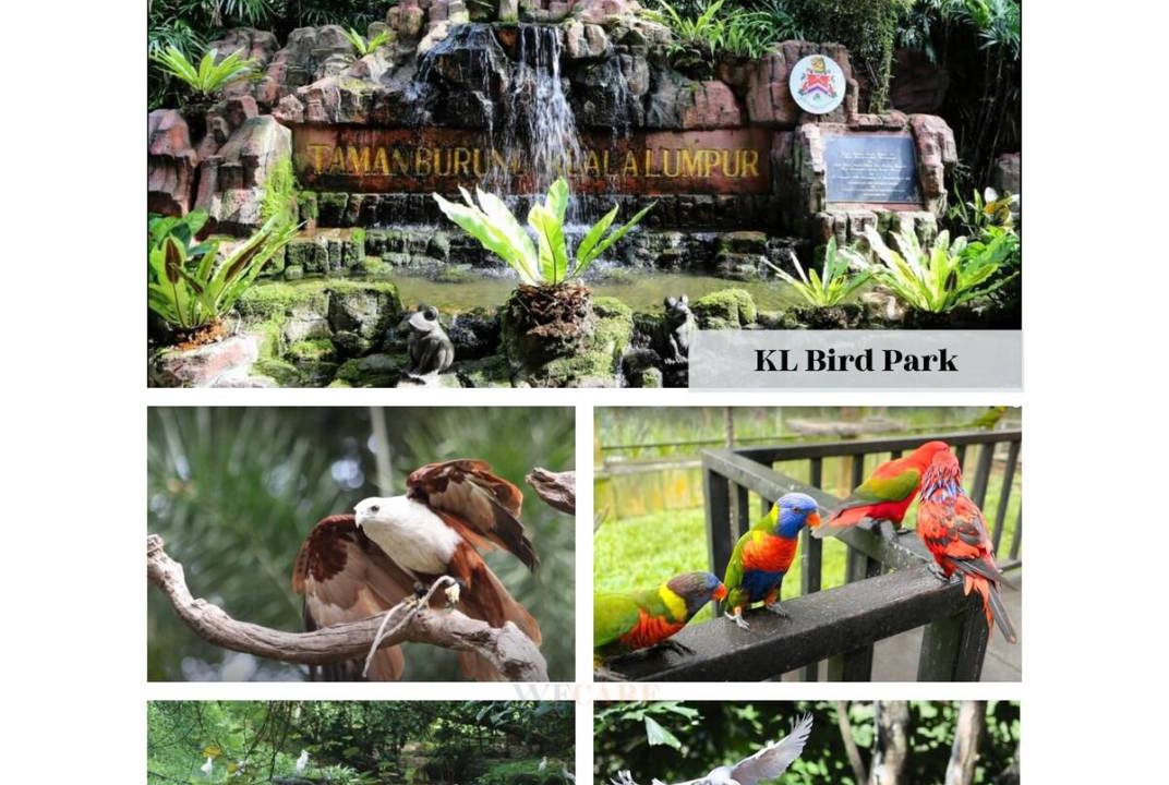 Photo of Others in Taman Bukit Pantai