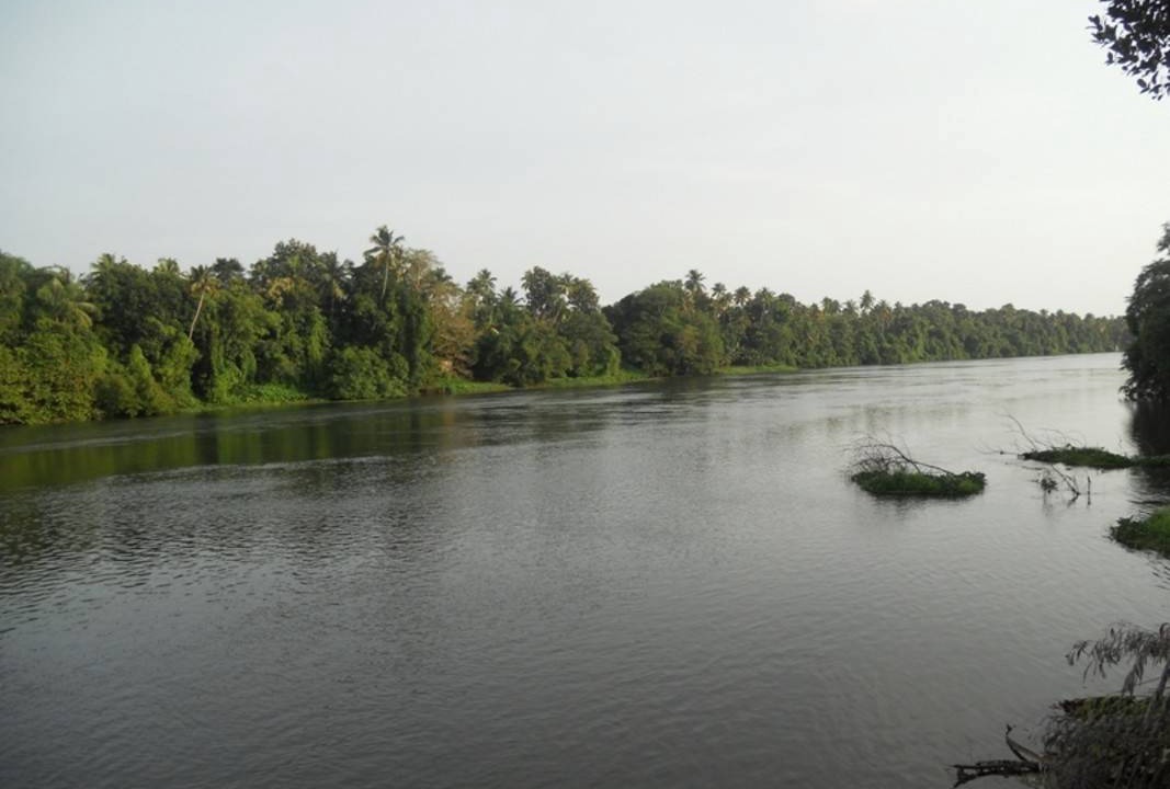 Photo of Others in Nedumbassery
