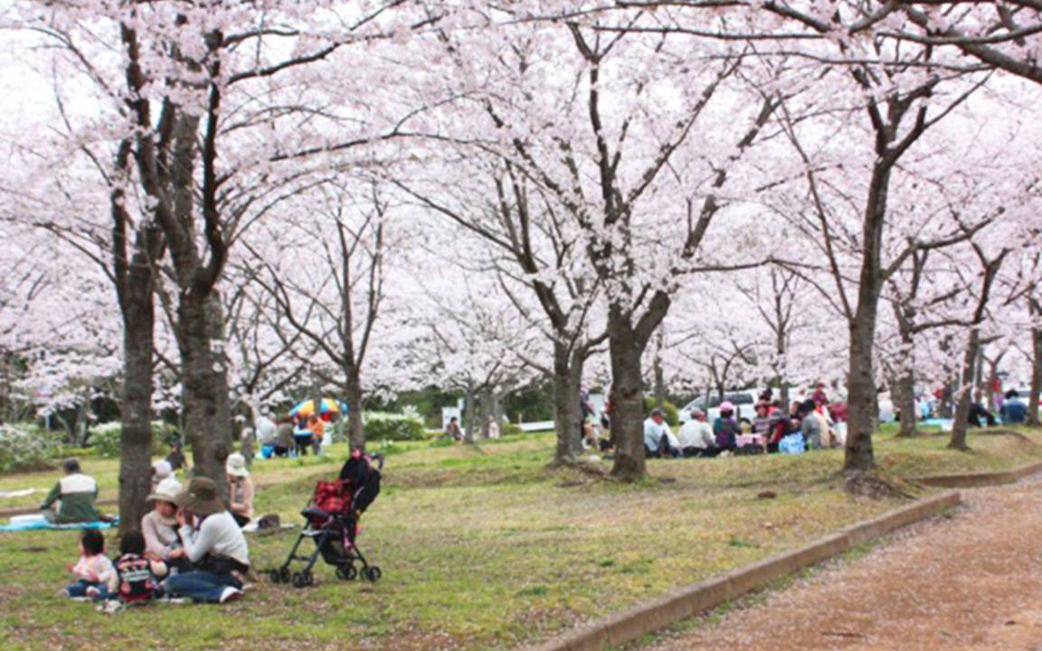 Photo of Others in Higashisumiyoshi-ku