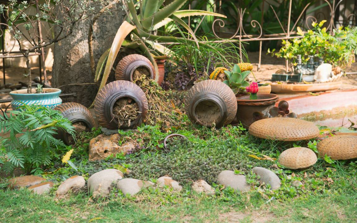 Photo of Others in Bani Park