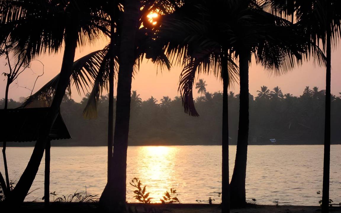 Photo of Others in Kumbalangi
