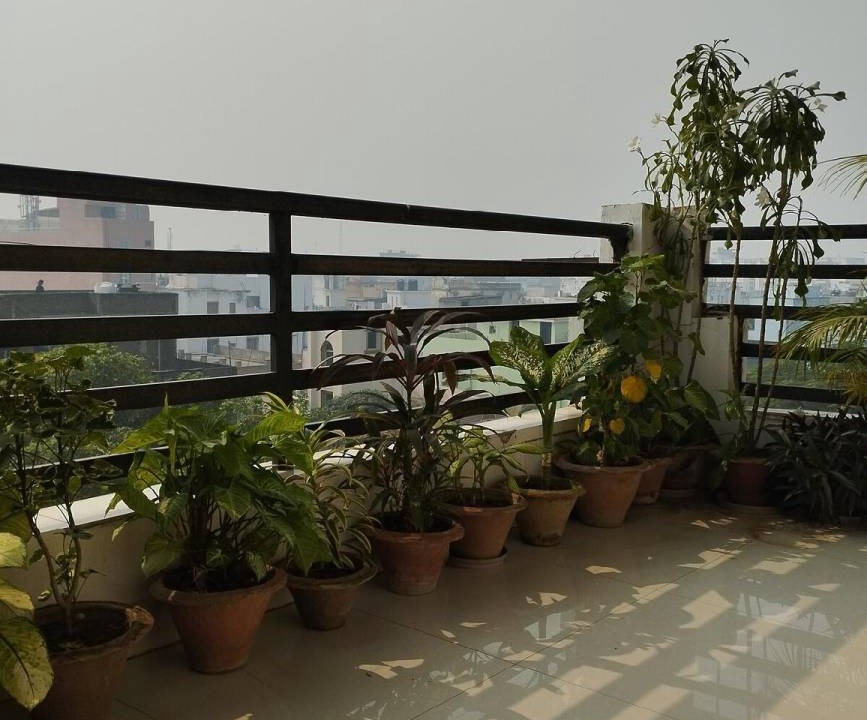 Photo of Patio Balcony in Patna