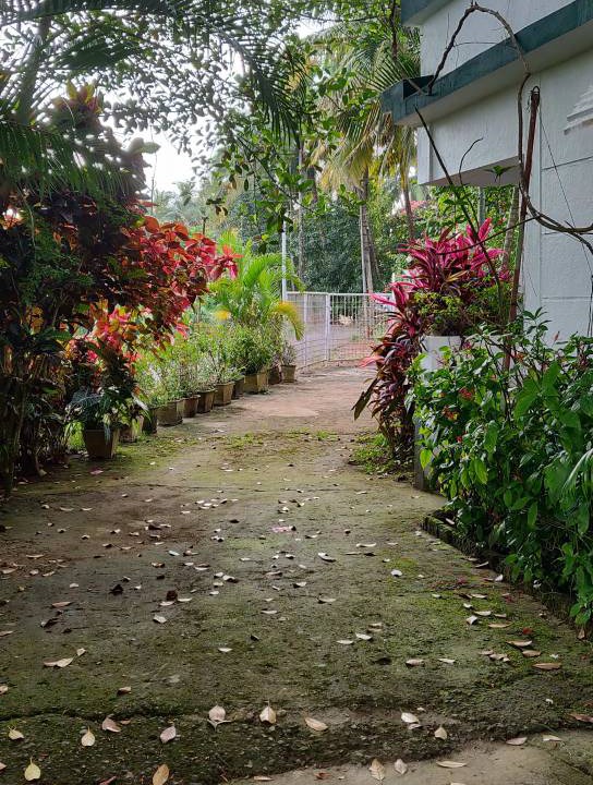 Photo of Others in Majorda