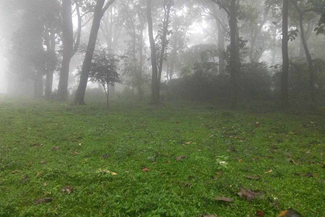 Photo of Others in Thekkady
