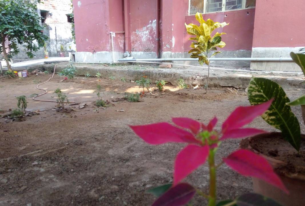 Photo of Others in Deoghar
