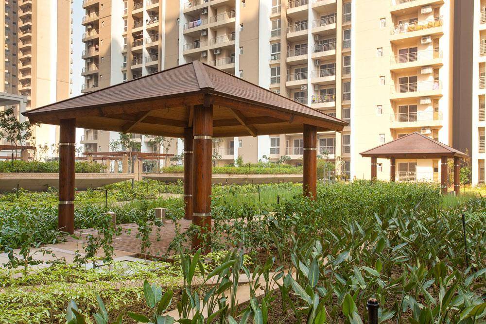 Photo of Buildings in Noida