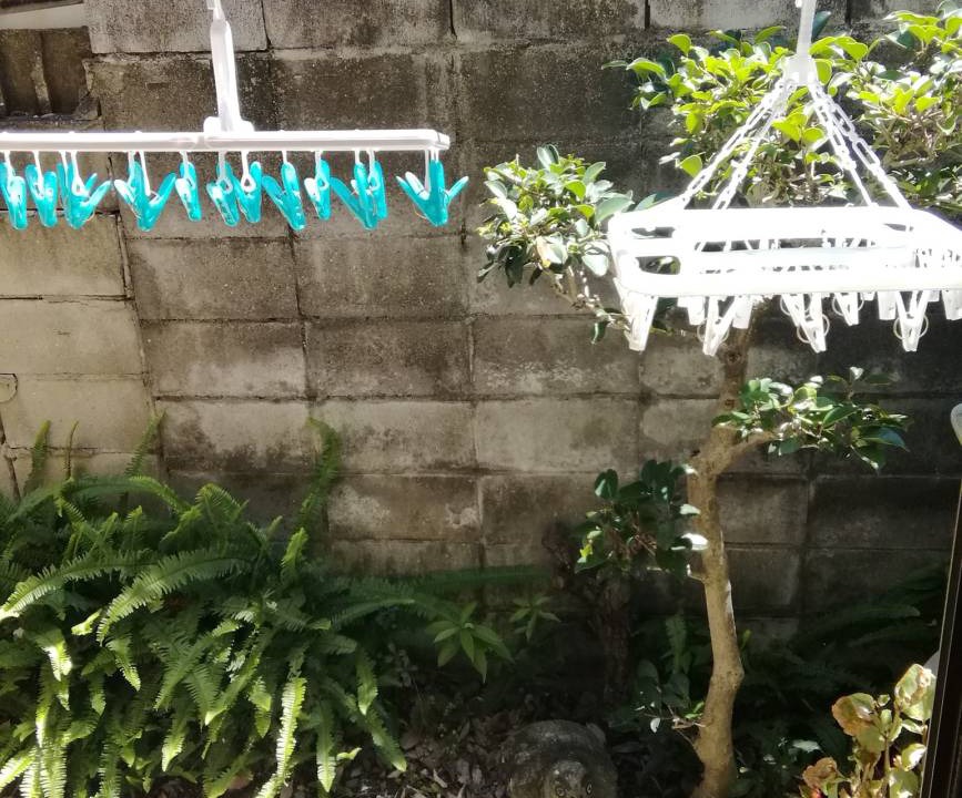 Photo of Others in Kita Ward