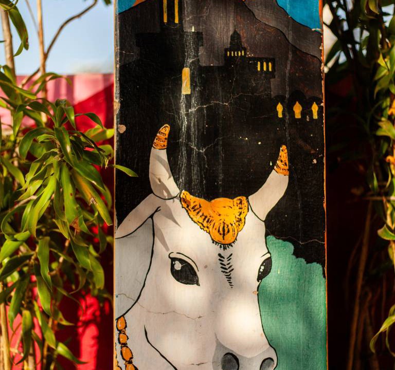 Photo of Others in Pushkar