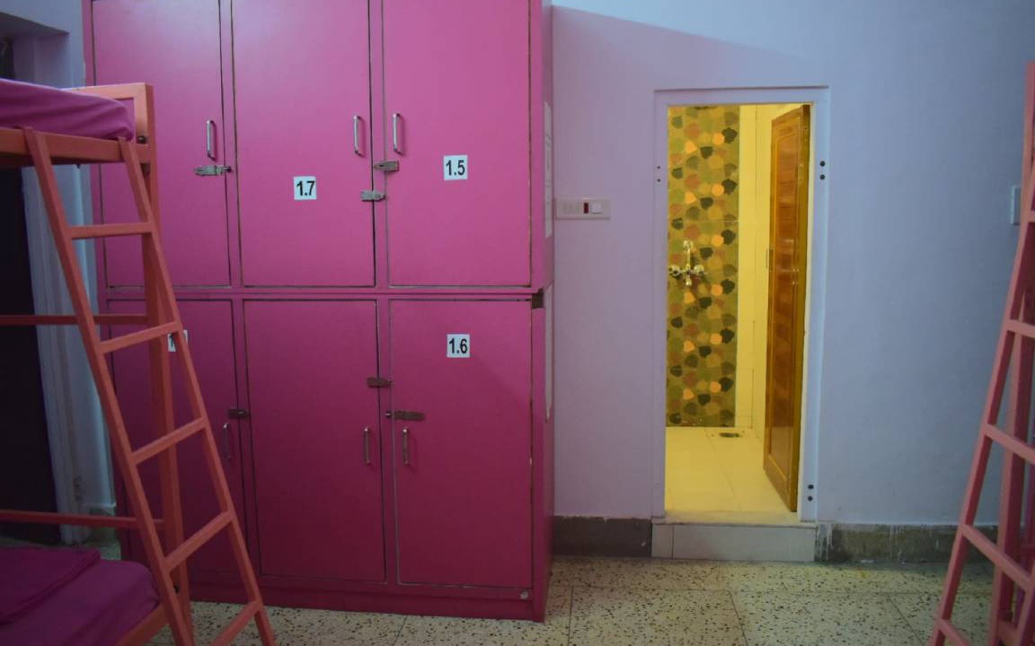 Photo of Others in Pink City