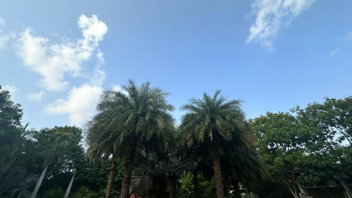Photo of Outdoor in Kalol