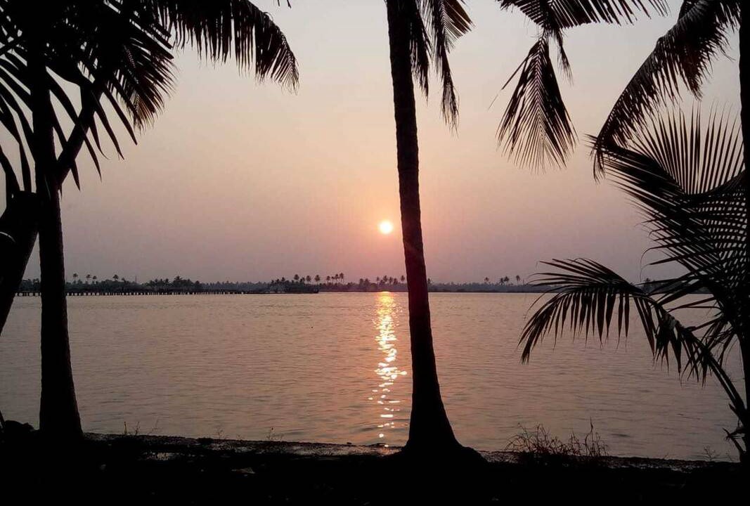 Photo of Others in Alappuzha
