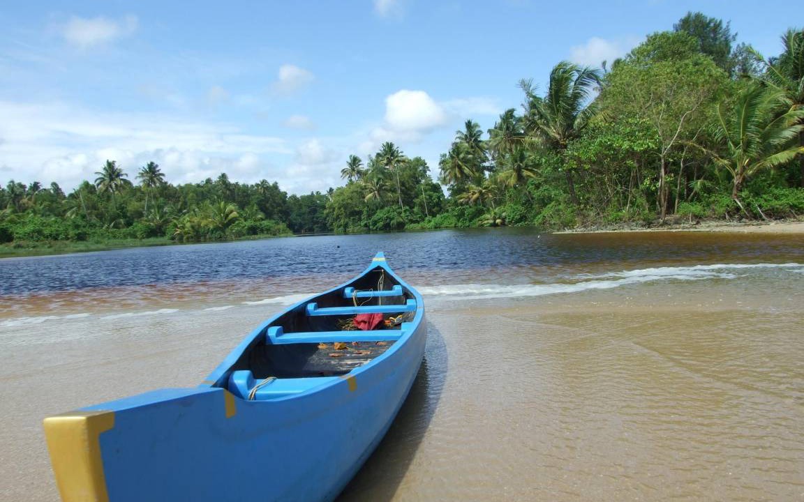 Photo of Others in Alappuzha
