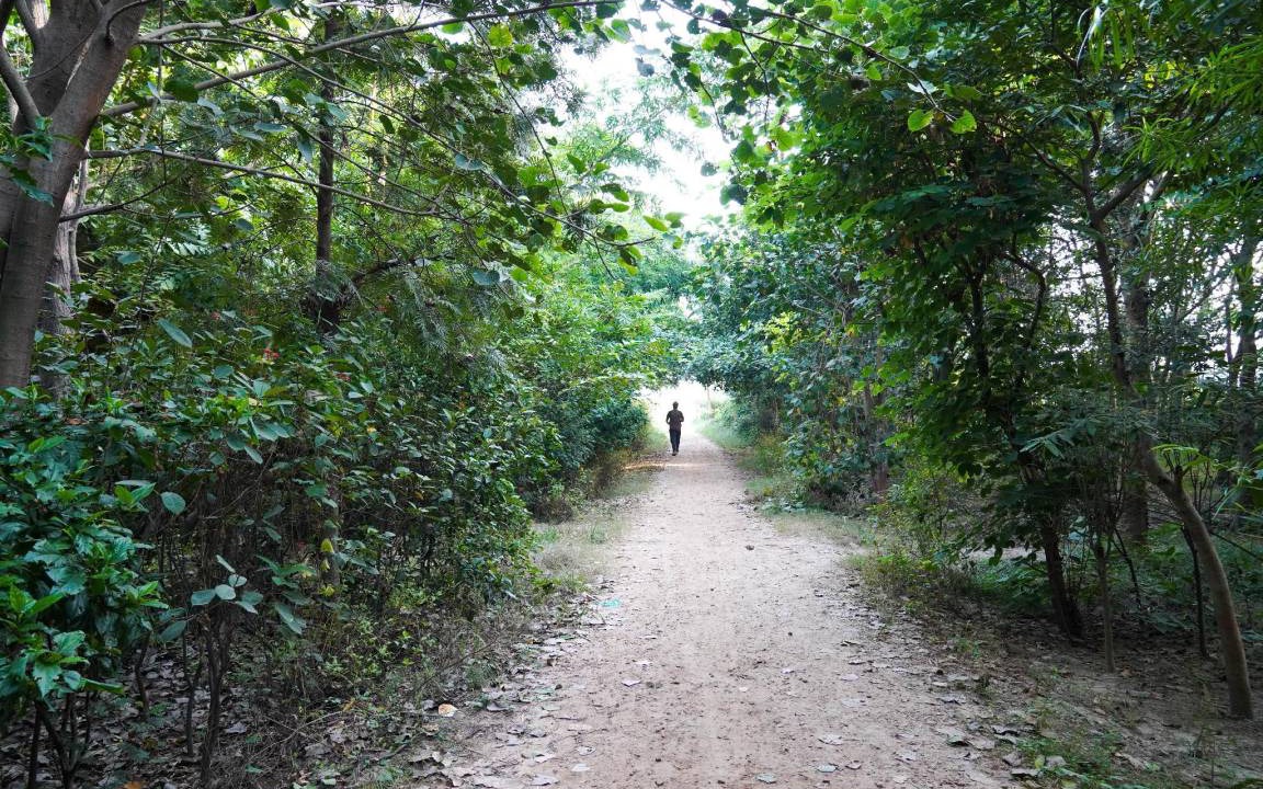 Photo of Outdoor in Kaushambi