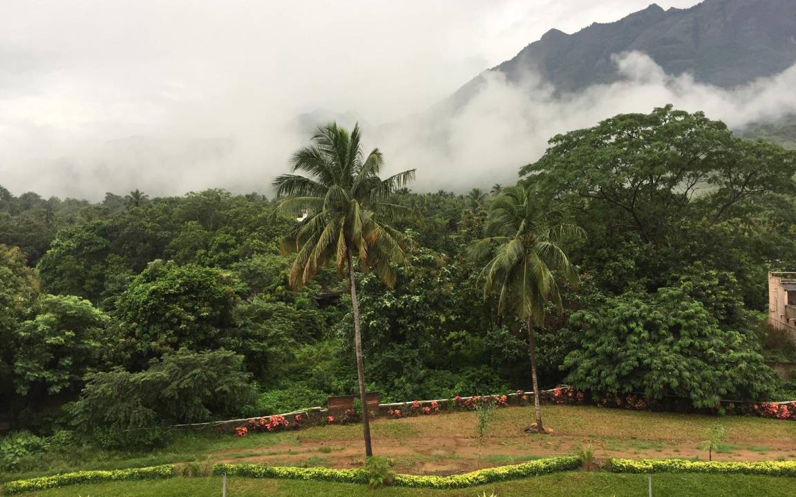 Photo of Others in Courtallam