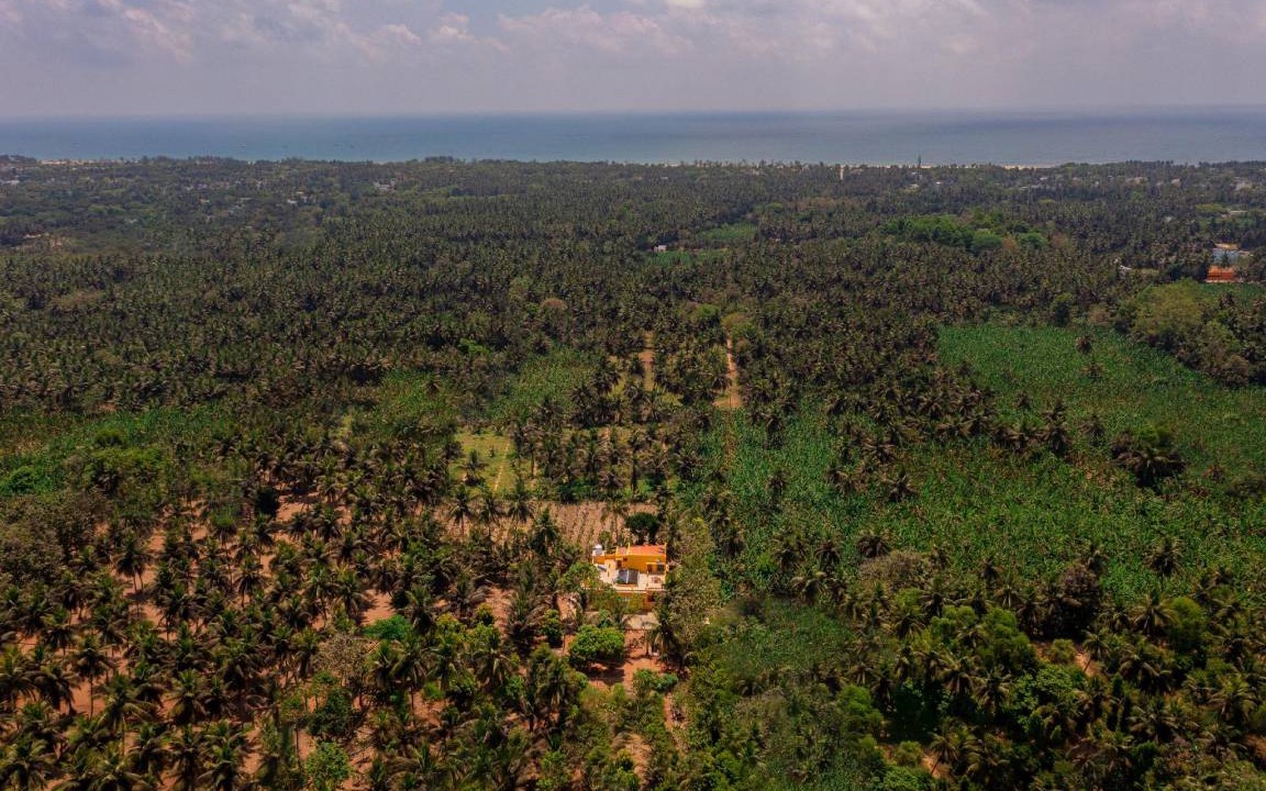 Photo of Others in Ganapathichettikulam