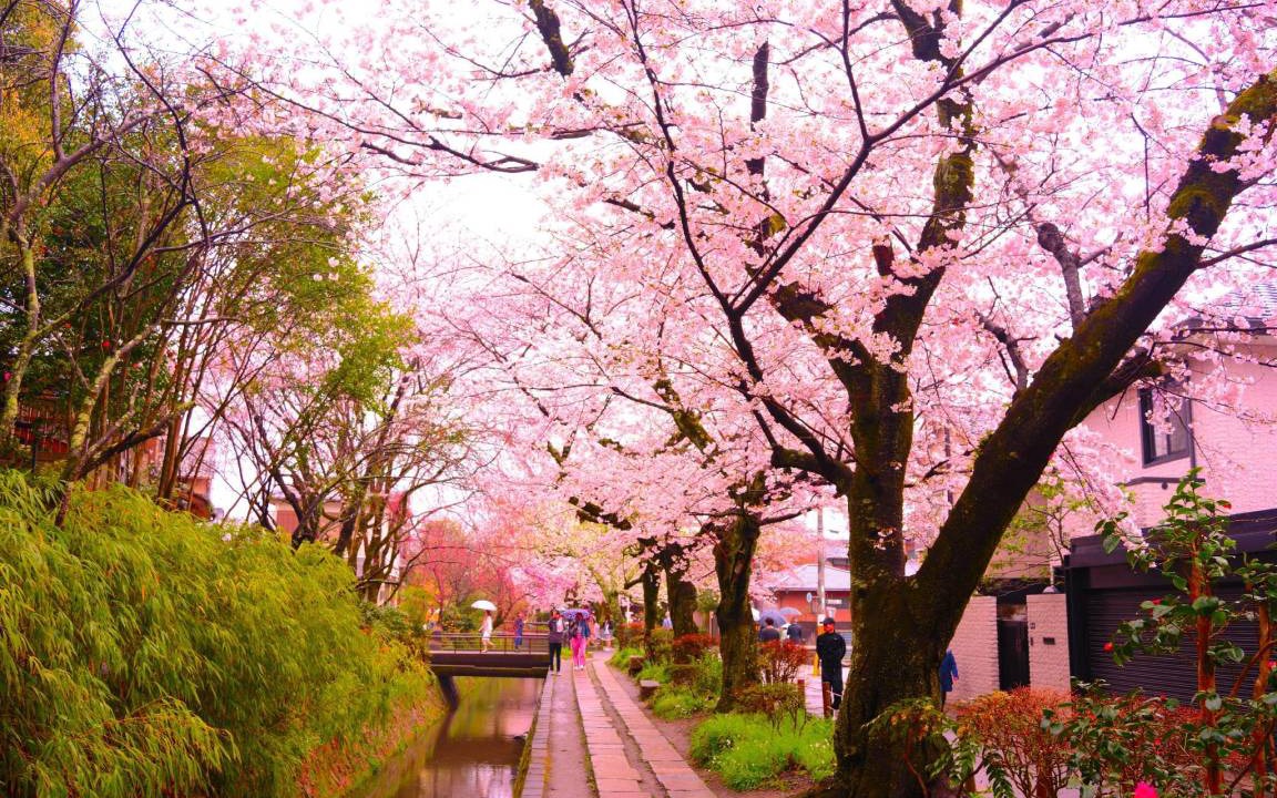 Photo of Others in Nishijin