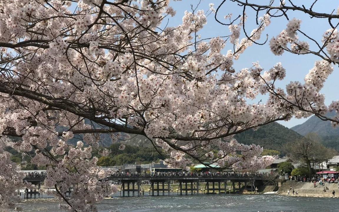 Photo of Others in Nishikyo