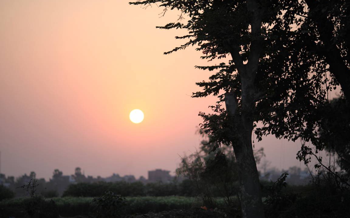 Photo of Others in Bodh Gaya