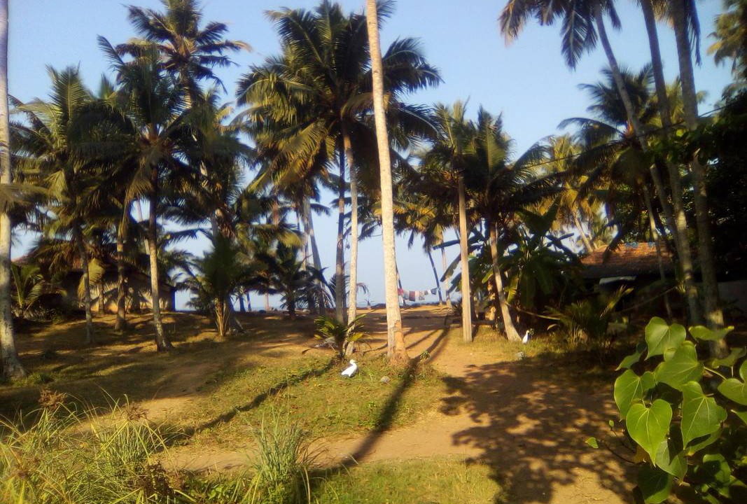 Photo of Others in Chirayinkil
