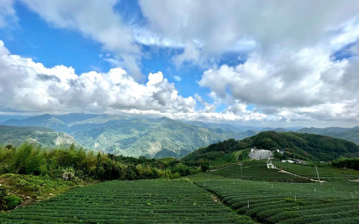 Photo of Others in Alishan