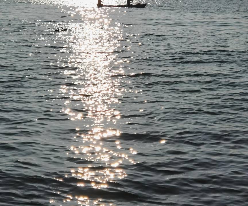Photo of Human In Picture in Munroe Island