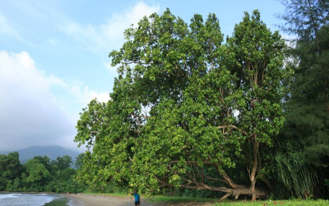 Photo of Others in North and Middle Andaman District