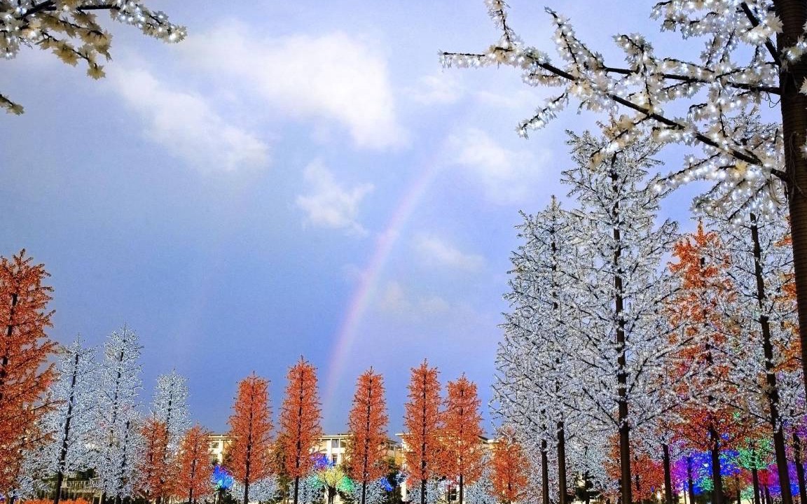 Photo of Others in Shah Alam