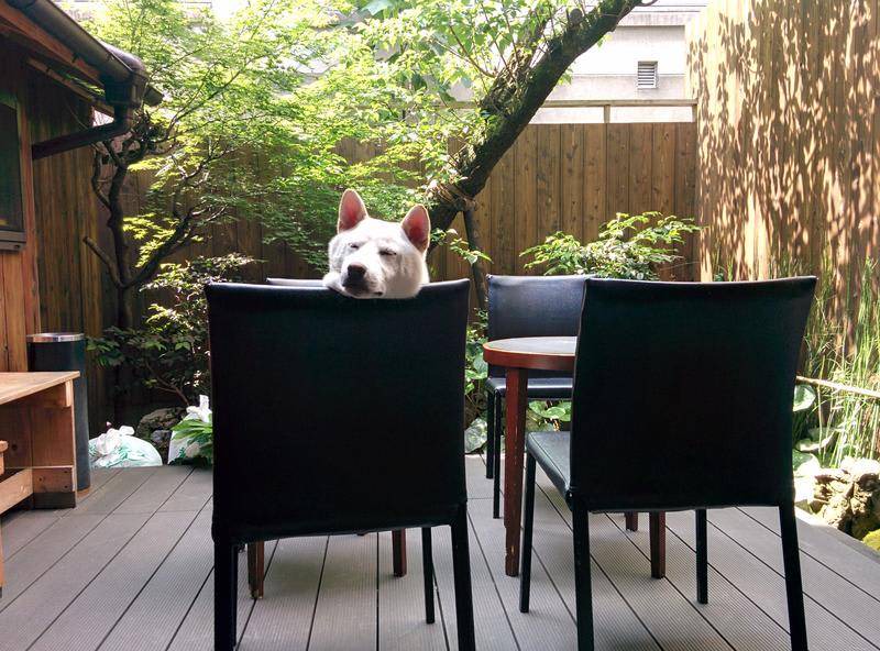 Photo of Others in Okazaki