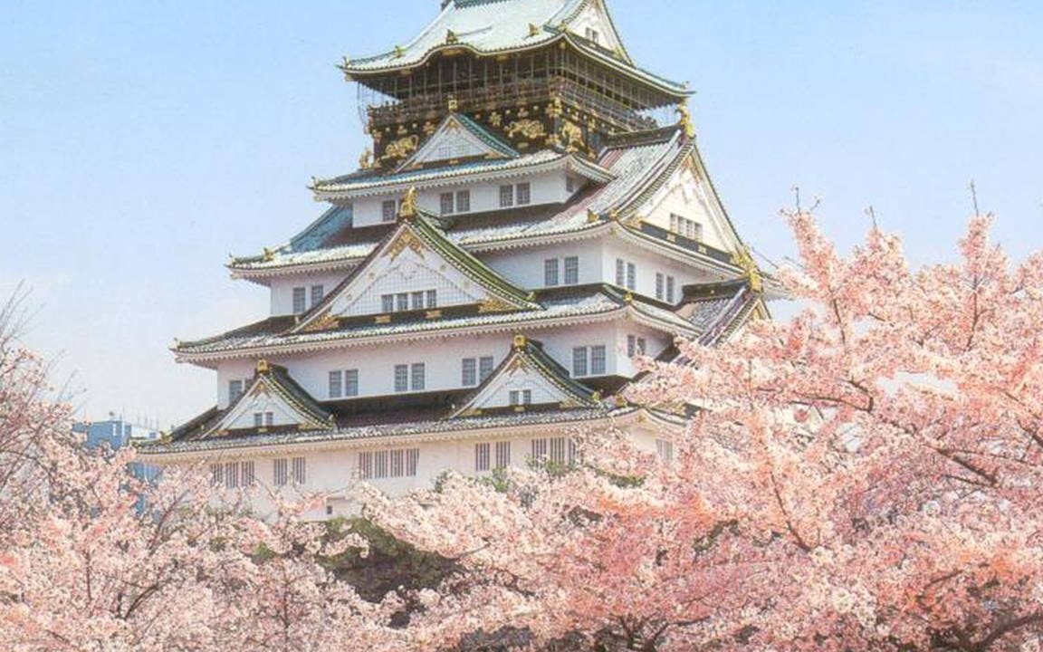 Photo of Others in Higashisumiyoshi-ku