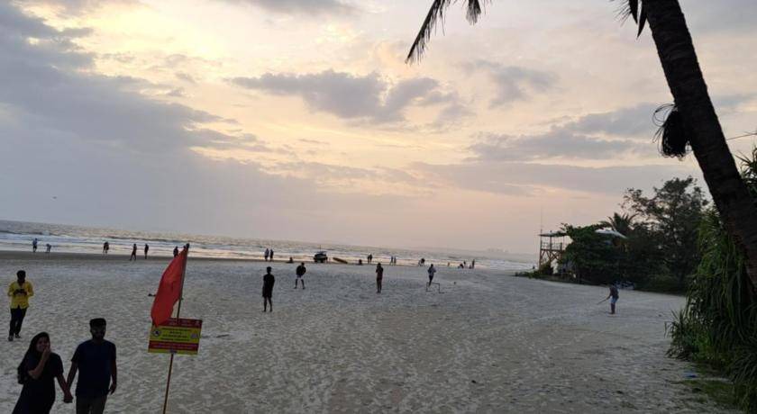 Photo of Others in Majorda
