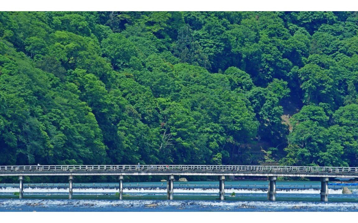Photo of Others in Arashiyama