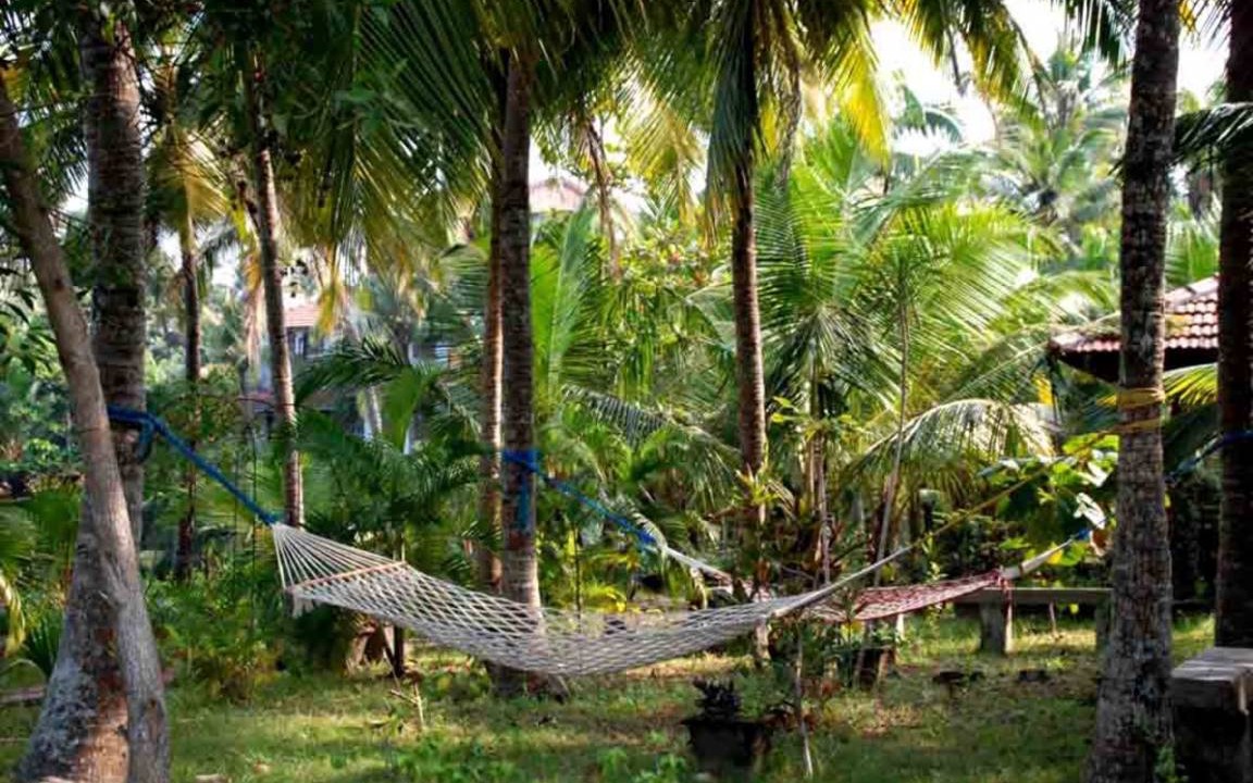 Photo of Others in North Paravur