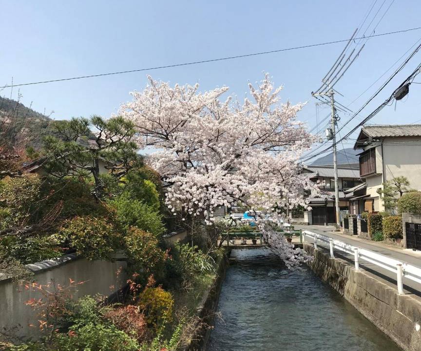 Photo of Others in Nishikyo
