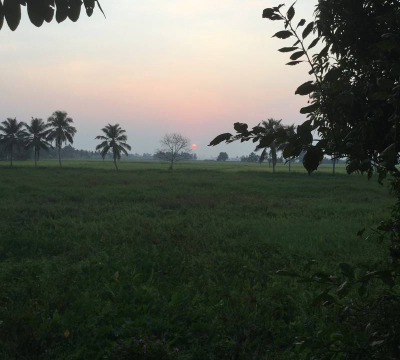 Photo of Others in Changanacherry