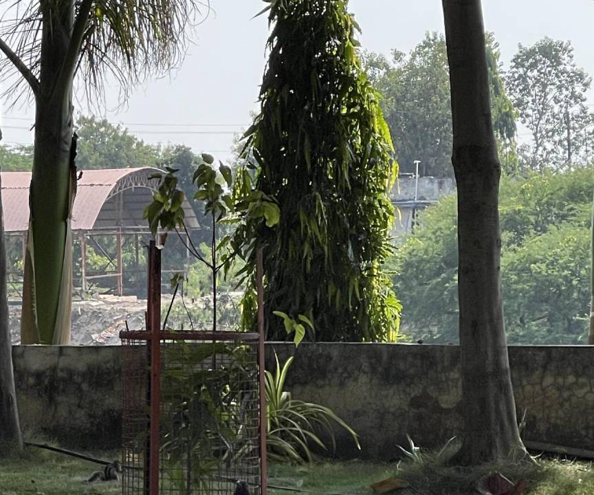 Photo of Others in Ujjain