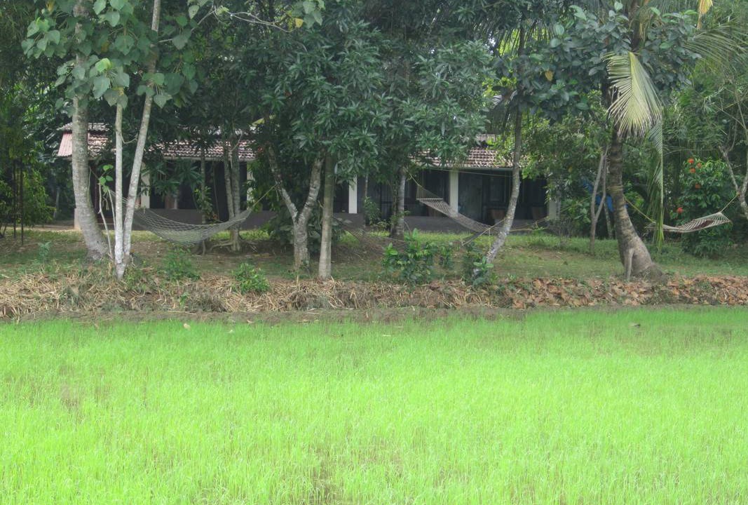 Photo of Others in Kumarakom