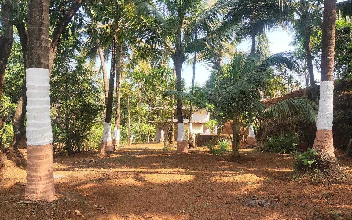 Photo of Others in Anjanvel