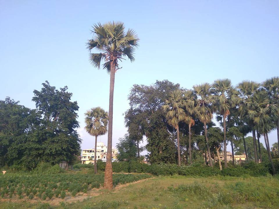 Photo of Others in Bodh Gaya