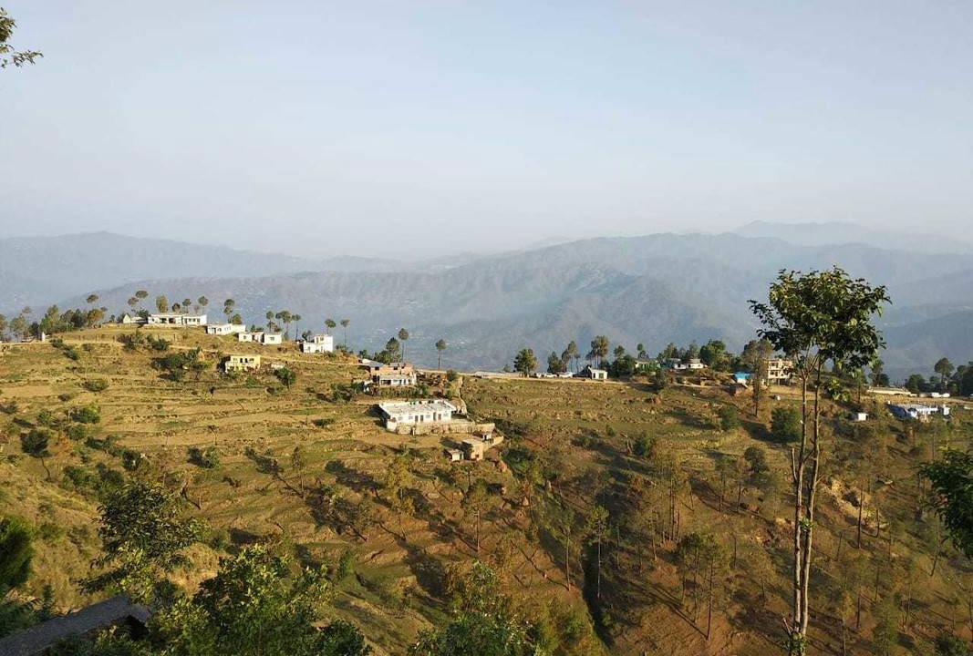 Photo of Others in Almora