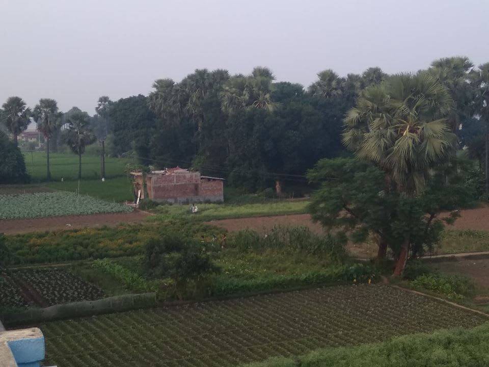 Photo of Others in Bodh Gaya