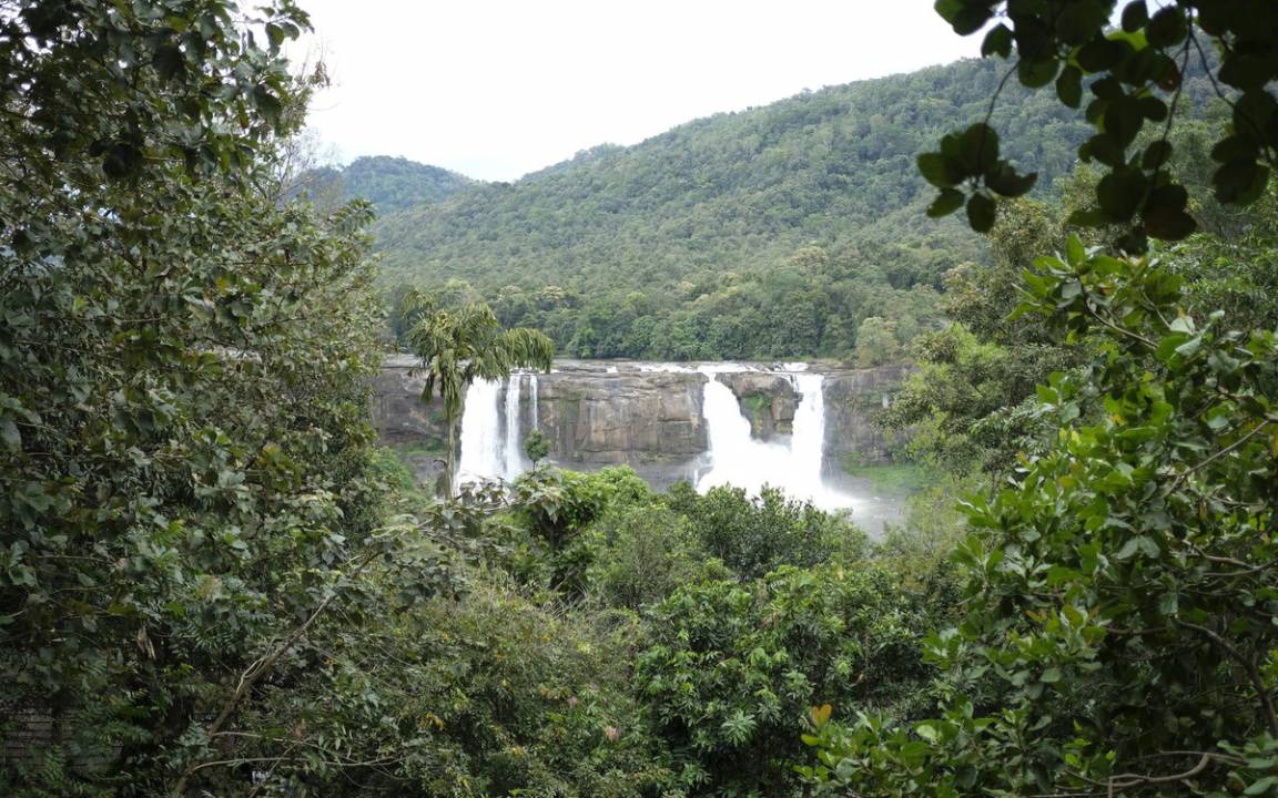 Photo of Others in Thamaraparambu