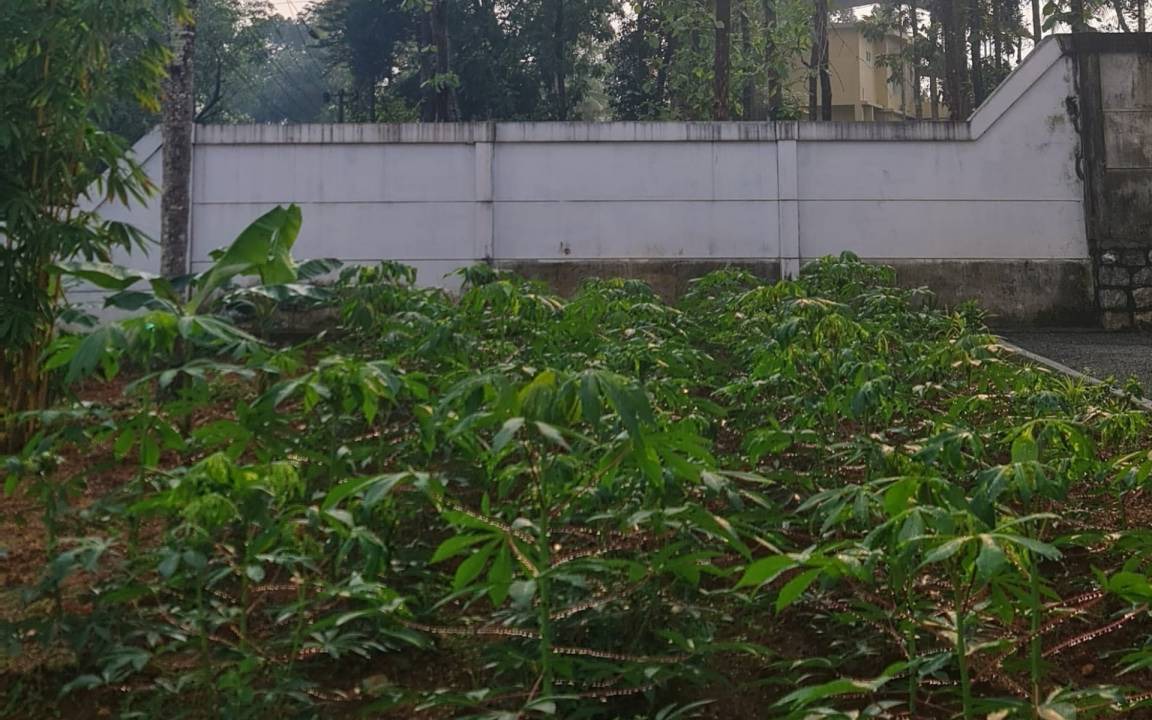Photo of Outdoor in Anchal