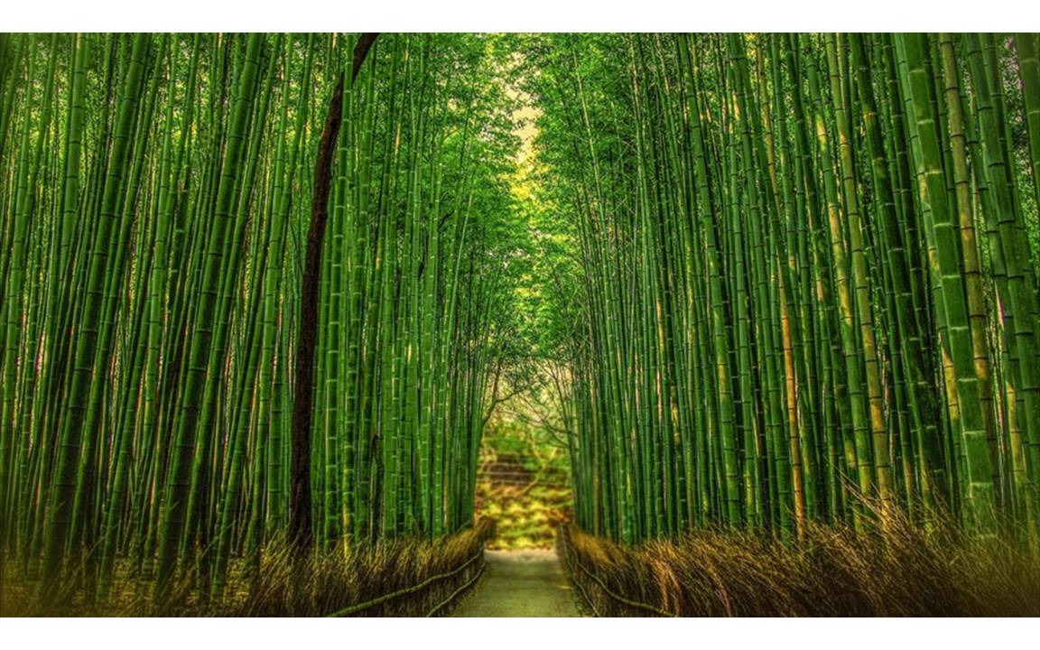 Photo of Others in Arashiyama