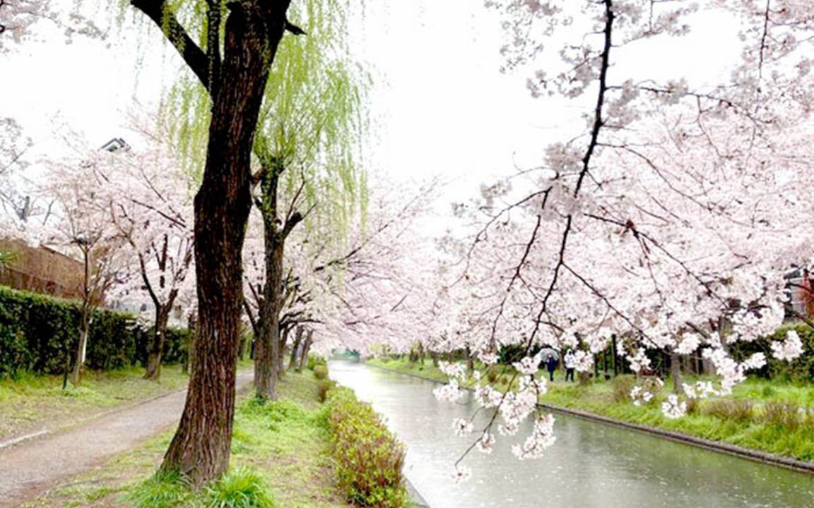 Photo of Others in Fushimi