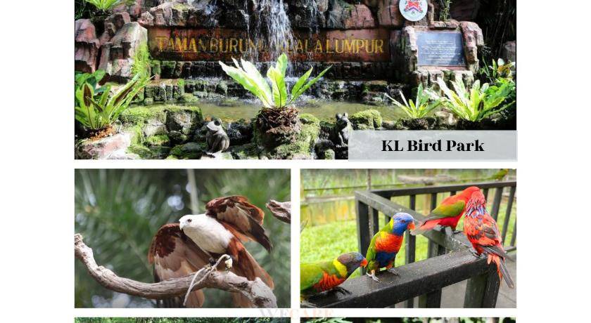 Photo of Others in Taman Bukit Pantai