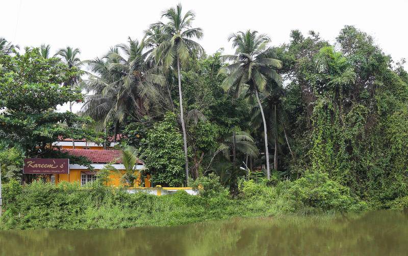 Photo of Others in Dongorim