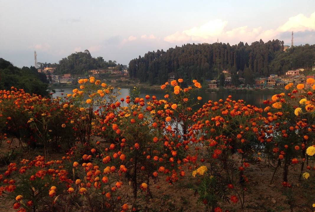 Photo of Others in Mirik