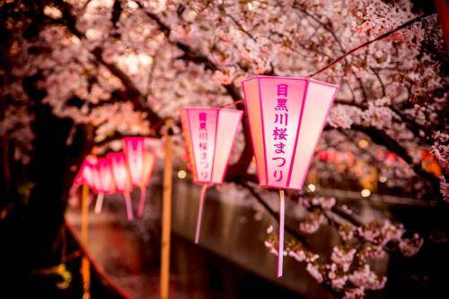 Photo of Others in Shinagawa