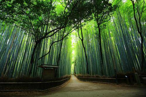 Photo of Others in Nishikyo